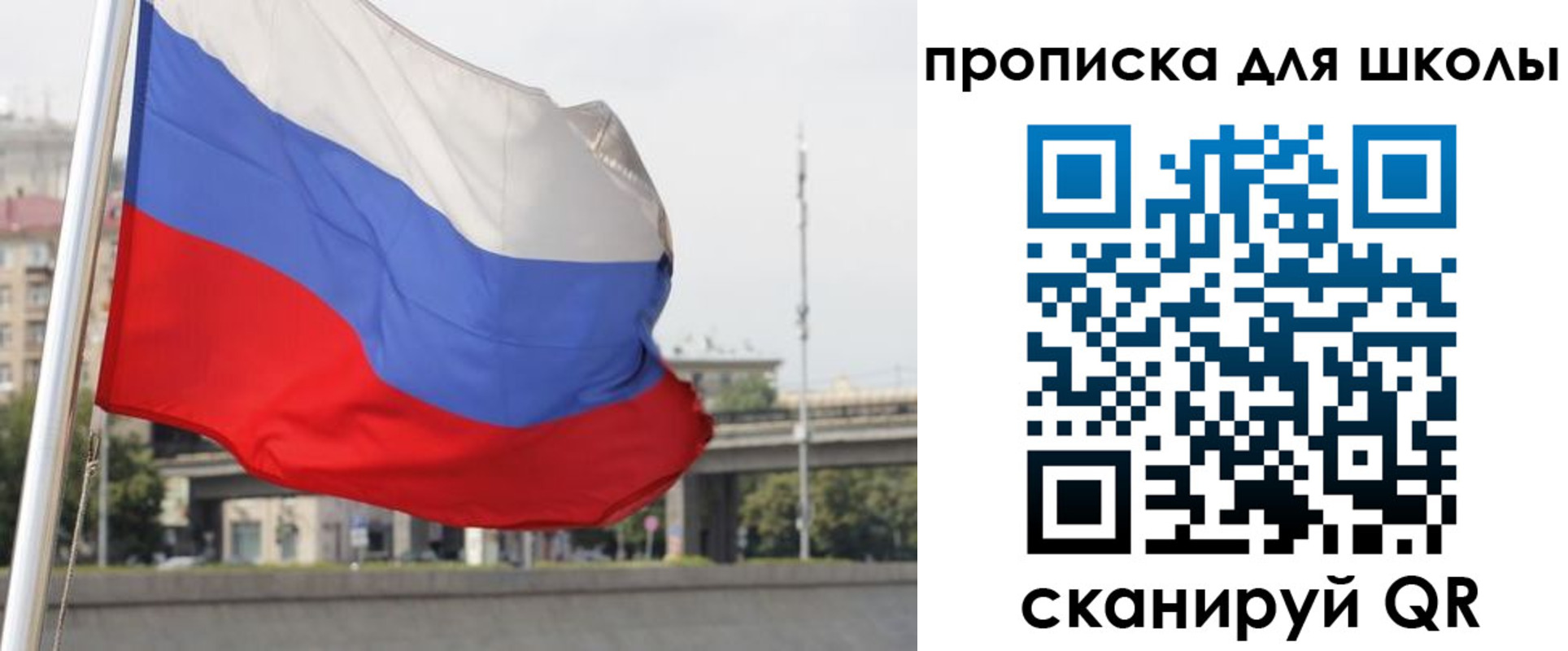 форма 3 в Новозыбкове